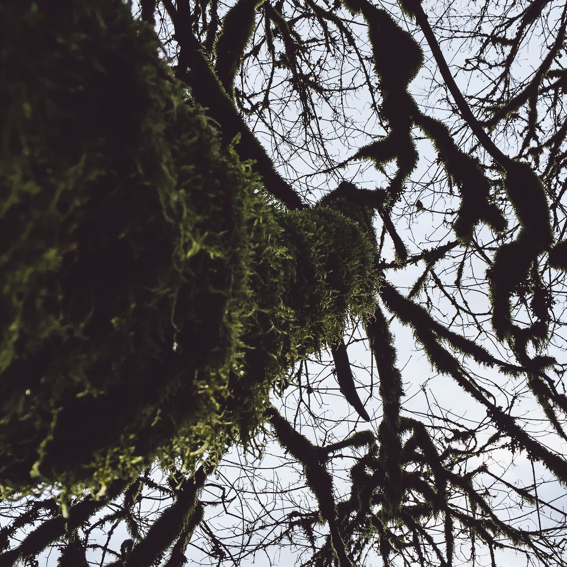 AT&T — technology photography by J.N. Silva