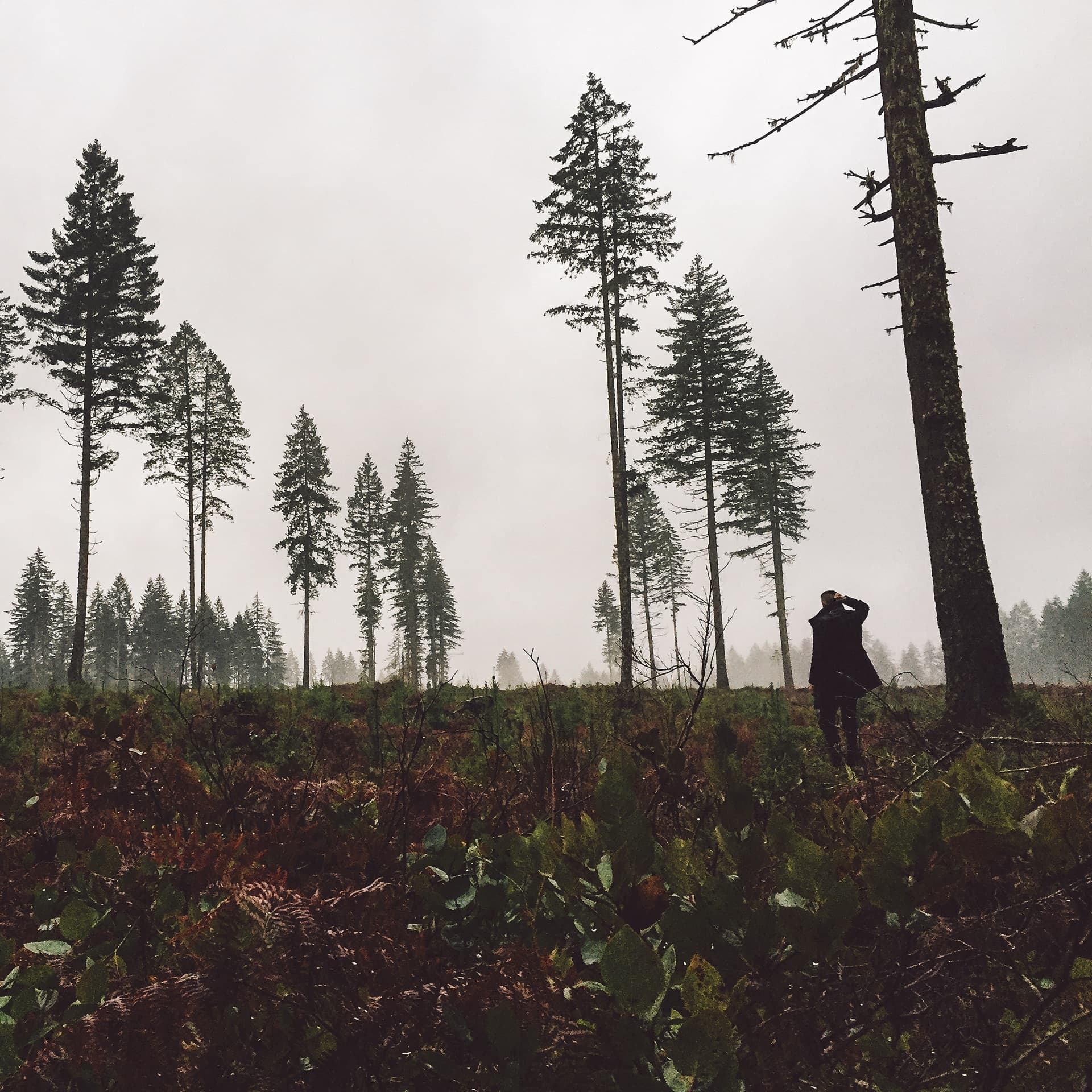 AT&T — technology photography by J.N. Silva