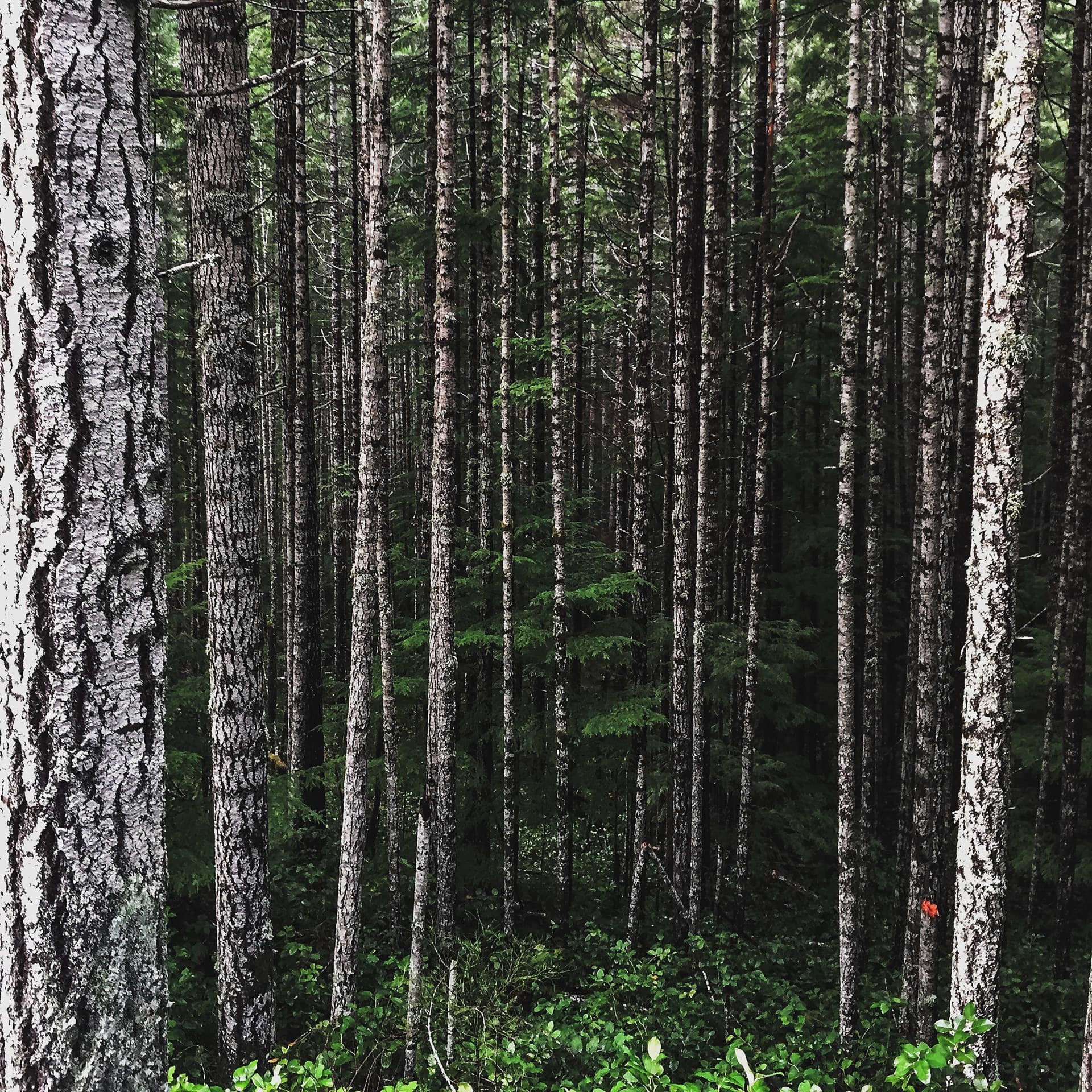 AT&T — technology photography by J.N. Silva