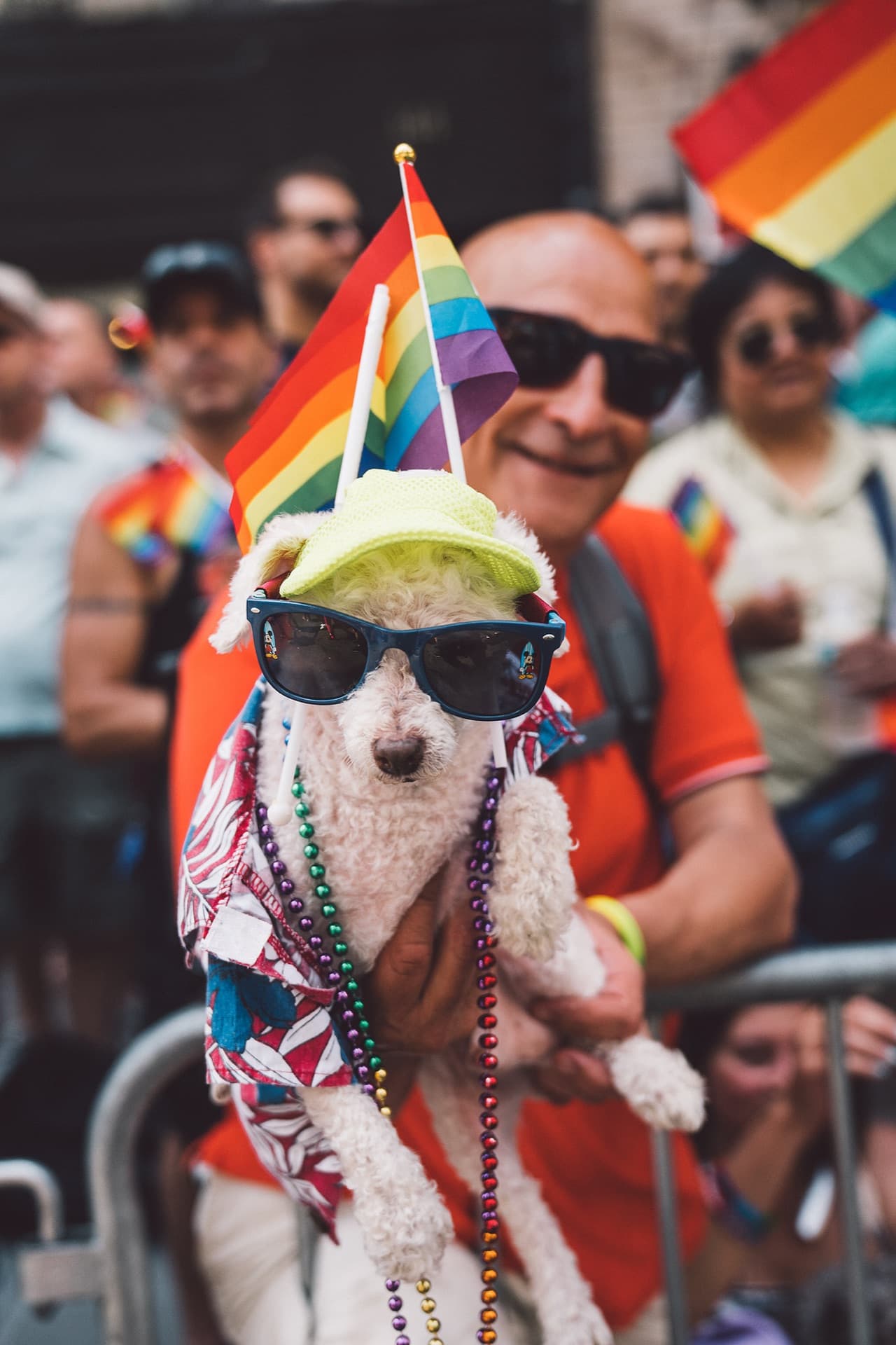 Facebook — technology photography by J.N. Silva