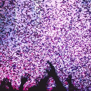 Interscope — music & entertainment photography by J.N. Silva