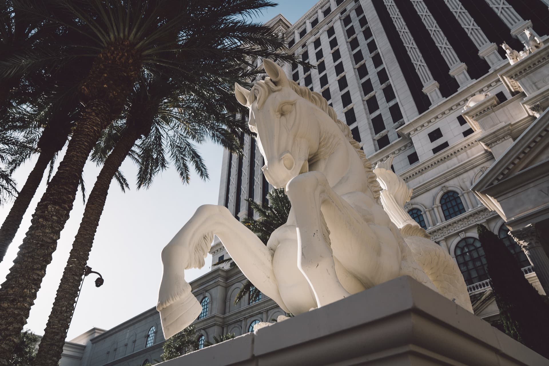 Las Vegas Tourism — travel & hospitality photography by J.N. Silva