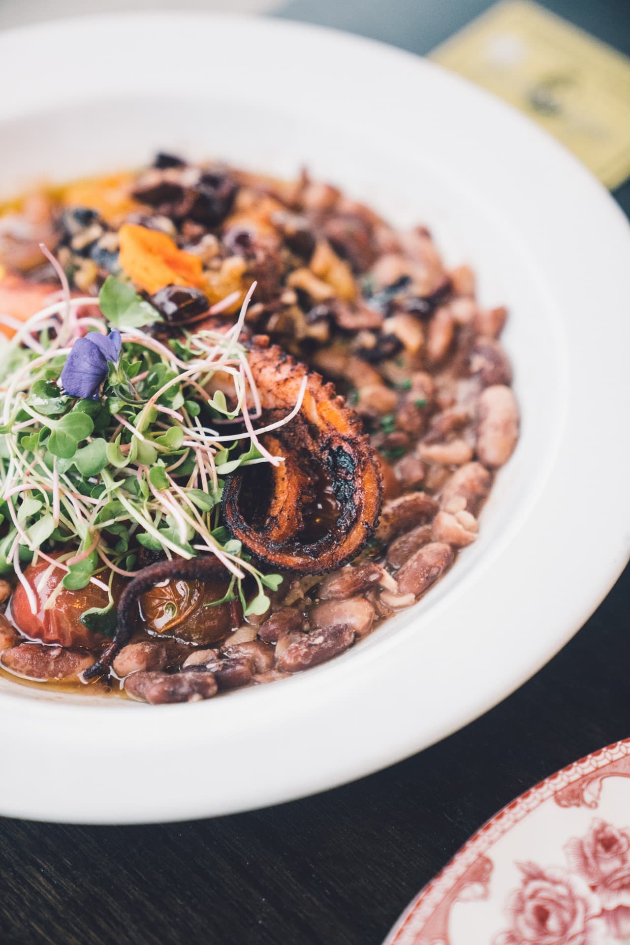 The Infatuation — culture & media photography by J.N. Silva