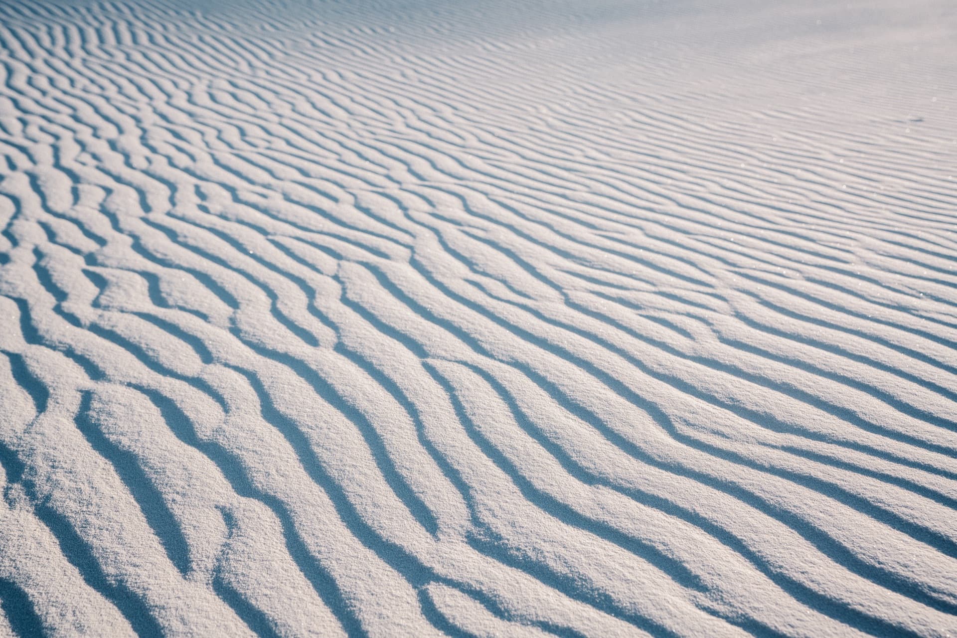 Marfa, Texas desert landscape at golden hour