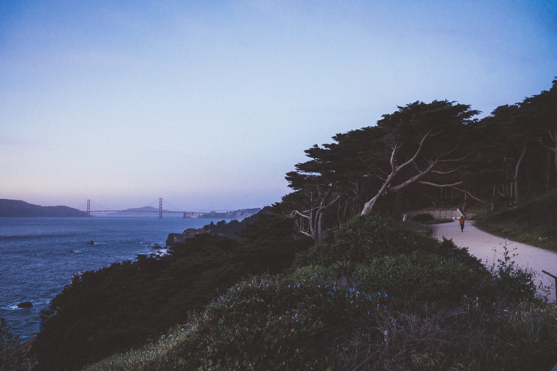San Francisco cityscape with iconic skyline