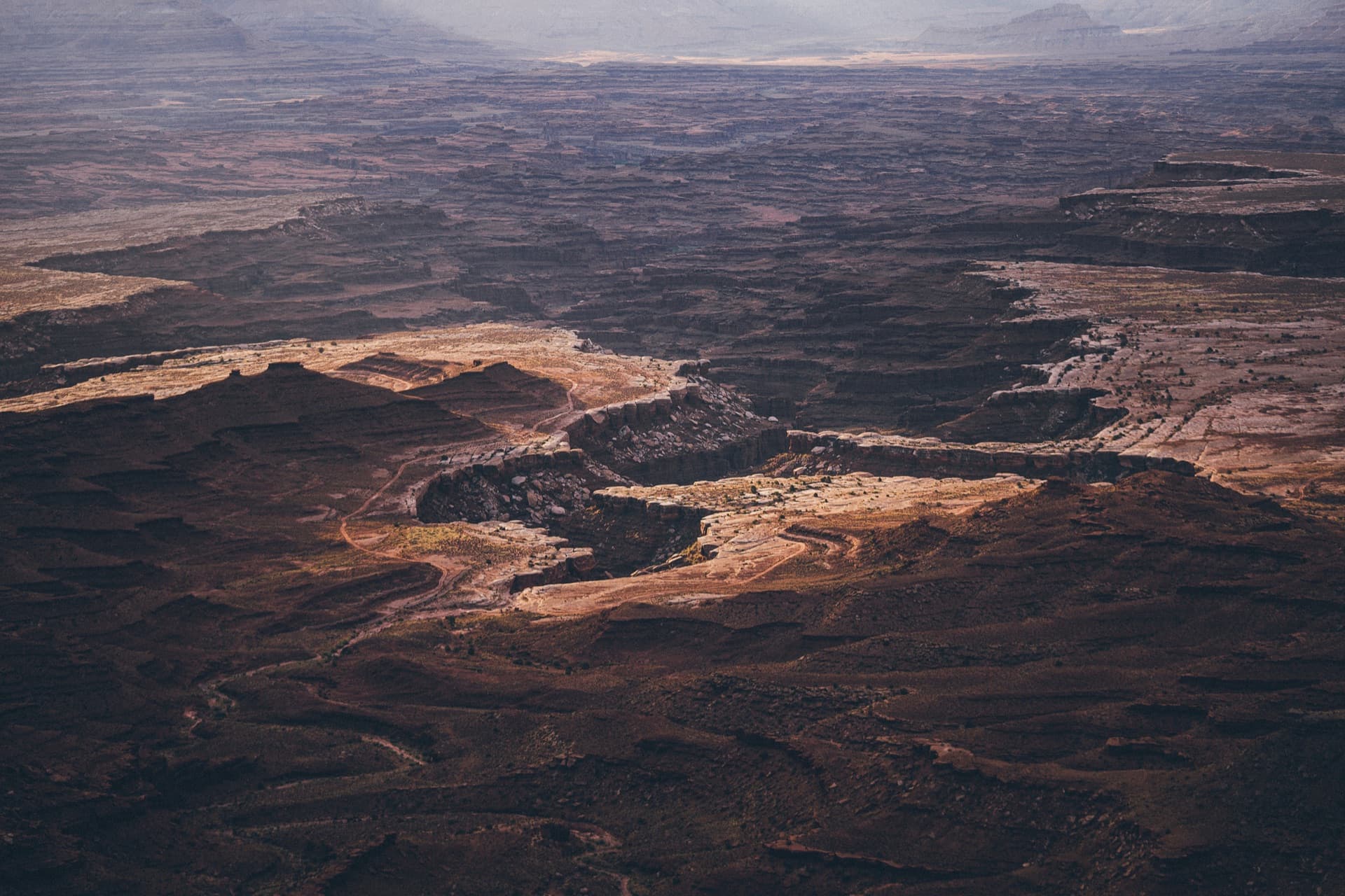Summer outdoor gathering by the pool