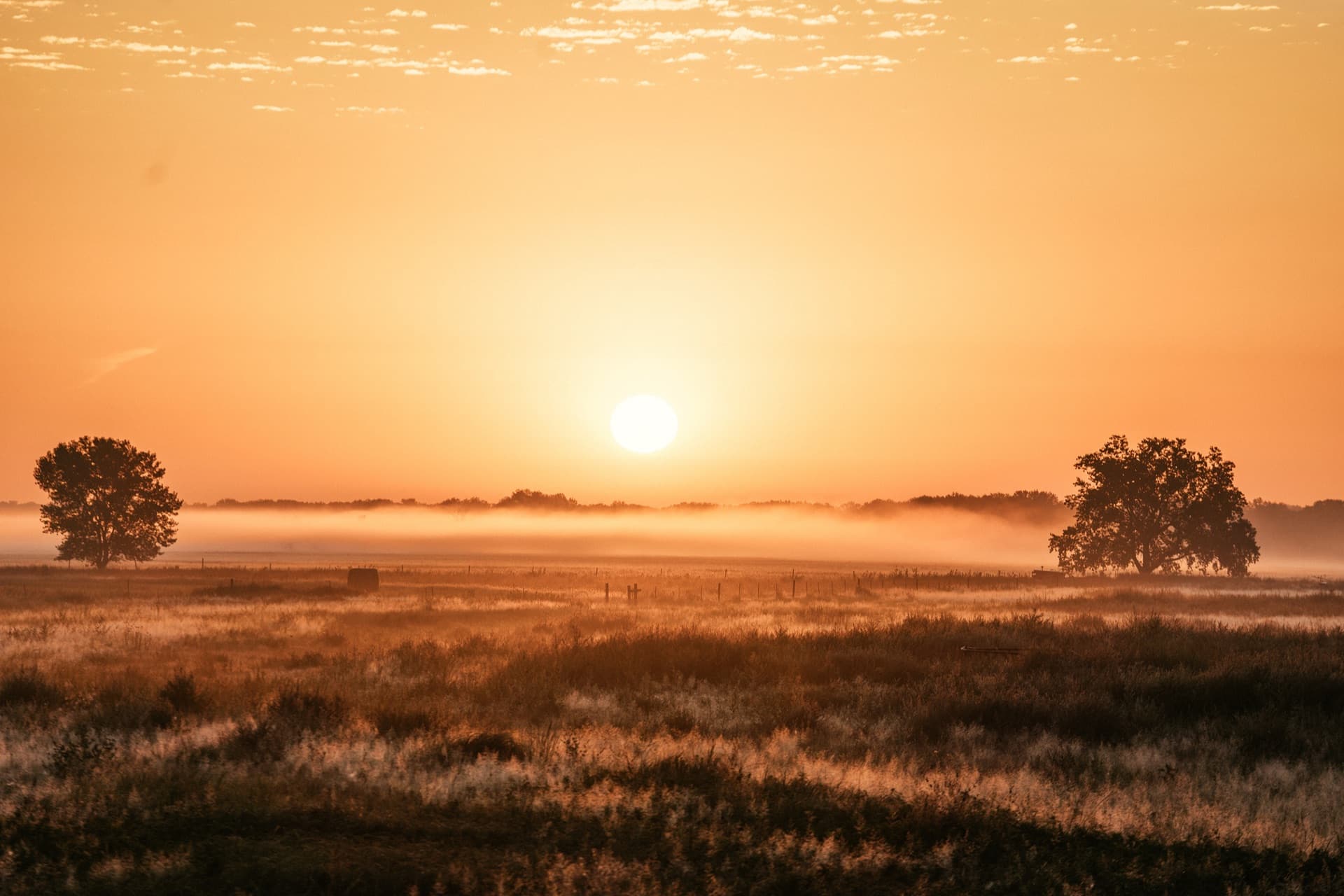 Pool party scene with friends in summer