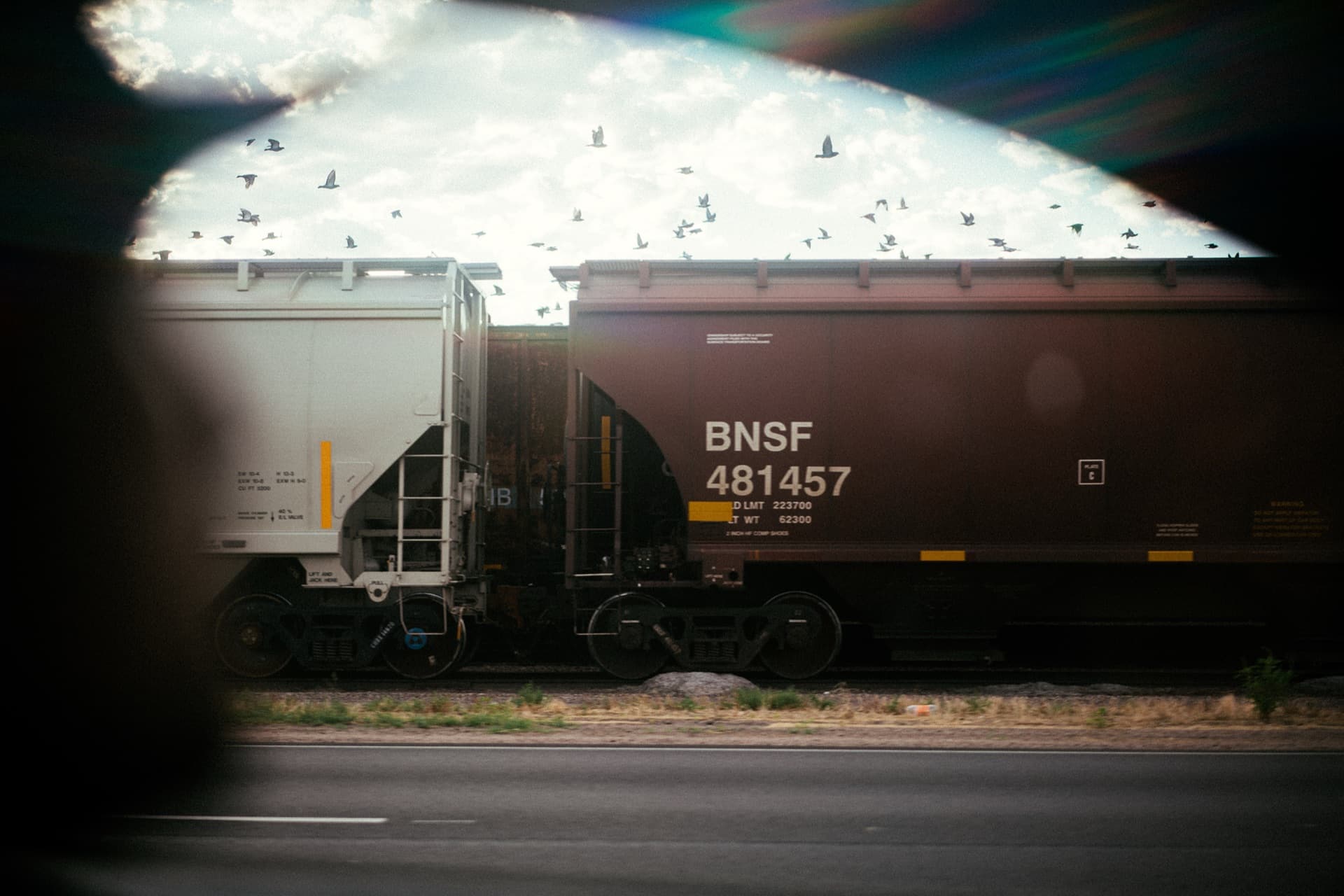 Pool party with friends enjoying summer