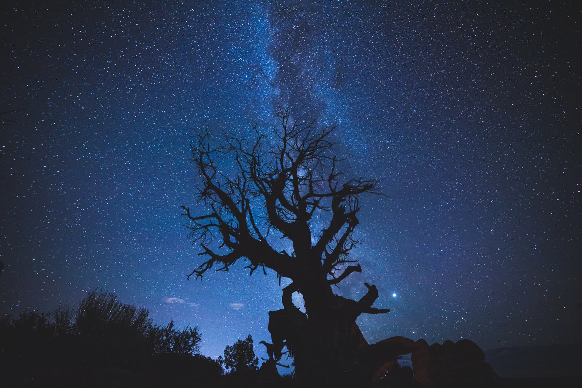Outdoor summer pool party atmosphere