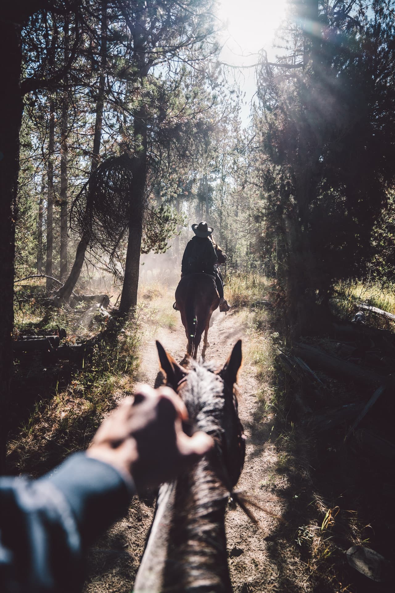Nature landscape with soft natural lighting