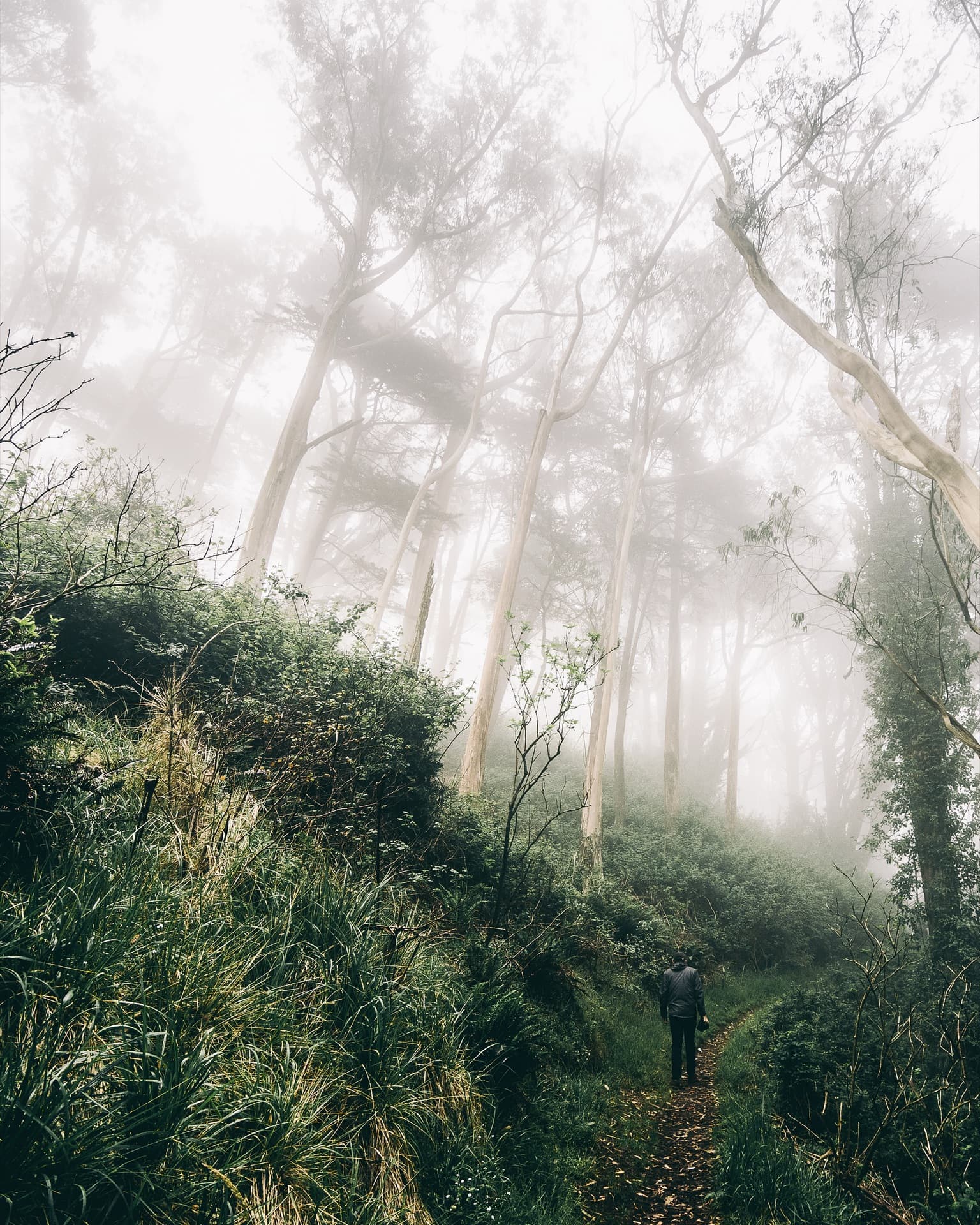 Landscape photography capturing natural beauty