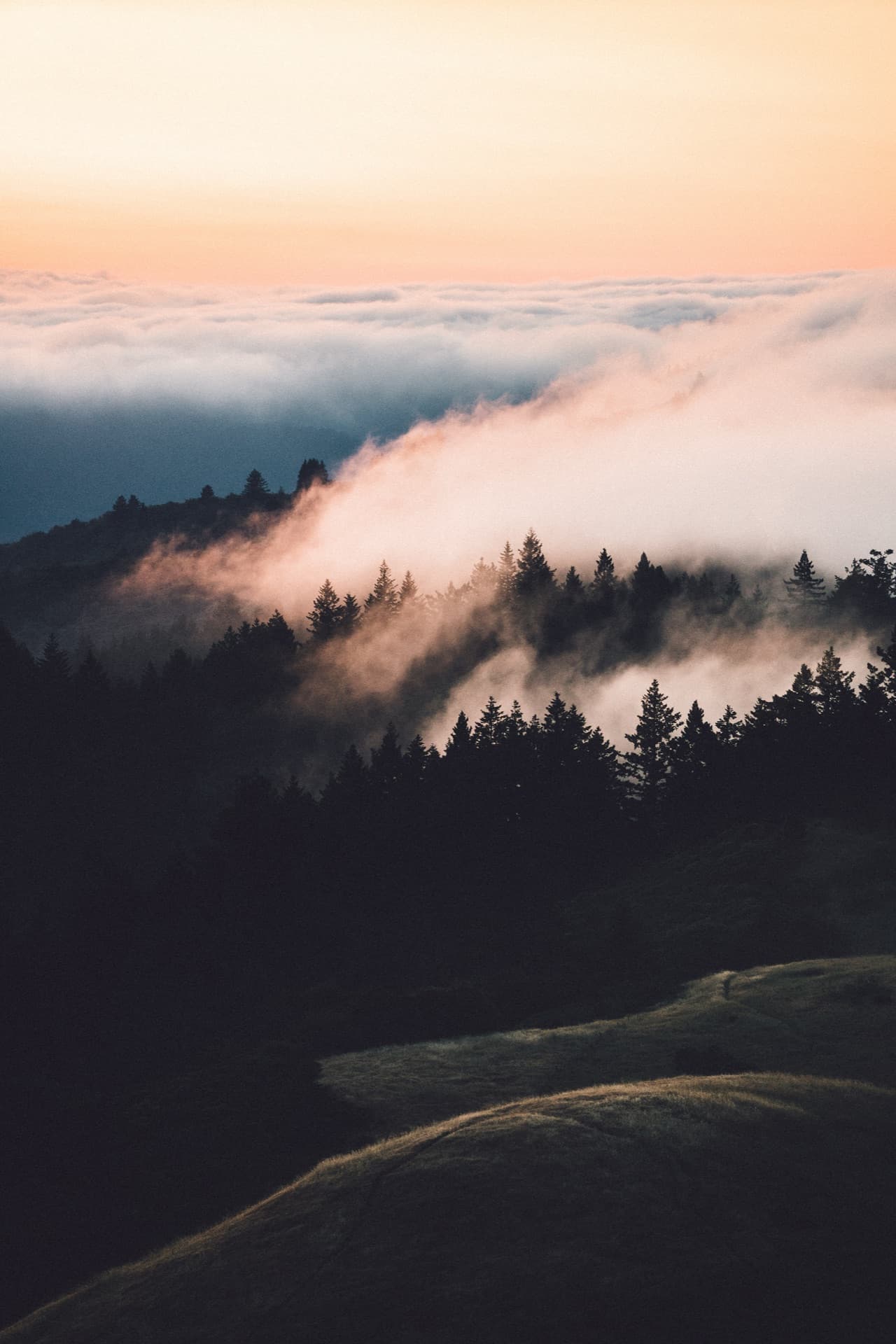 Mount Tamalpais fog rolling over California hills